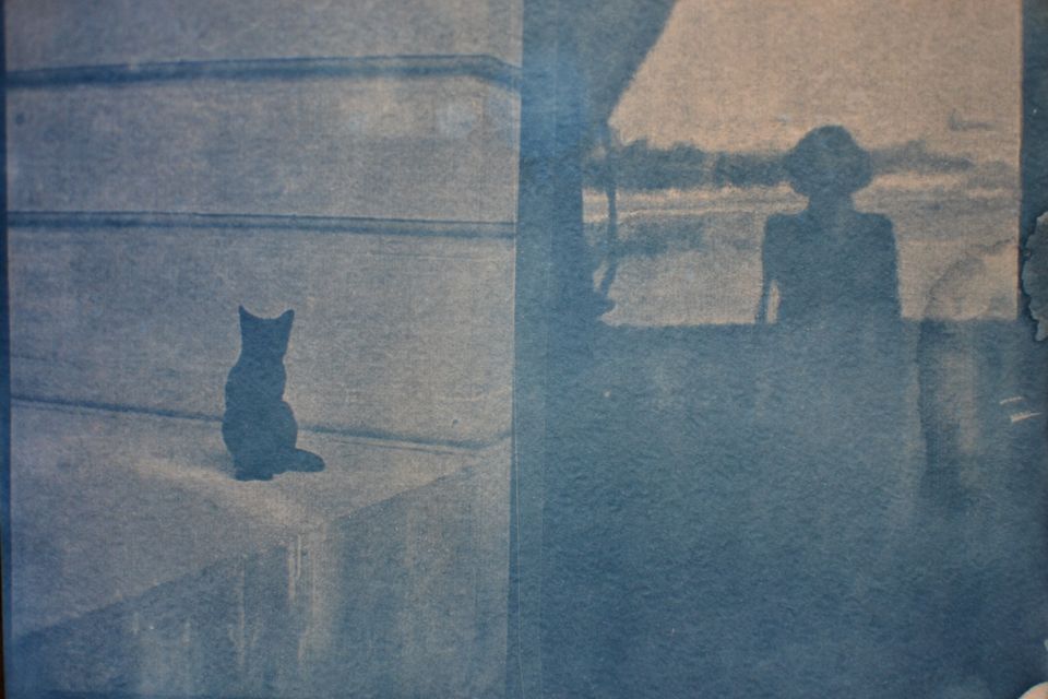 Eine Person rettet bei einer Evakuierung ihre Katze und ein altes Foto mit unschätzbarem Erinnerungswert.