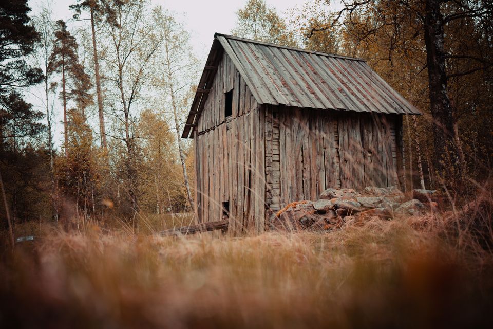 Eine verlassene Holzhütte tief im Wald, umgeben von dichten Bäumen und Schatten.