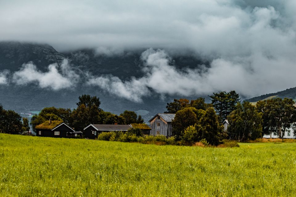 Einzigartige Münze Olavs des Heiligen im größten Wikinger-Münzschatz der norwegischen Geschichte gefunden.