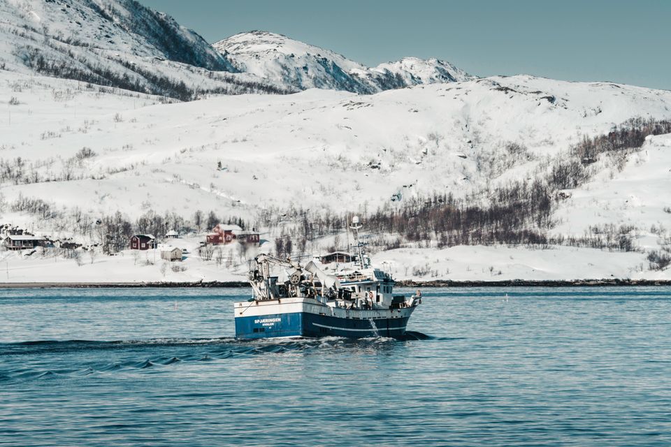 Økokrim: Kriminelle Netzwerke haben sich in norwegischen Branchen etabliert.